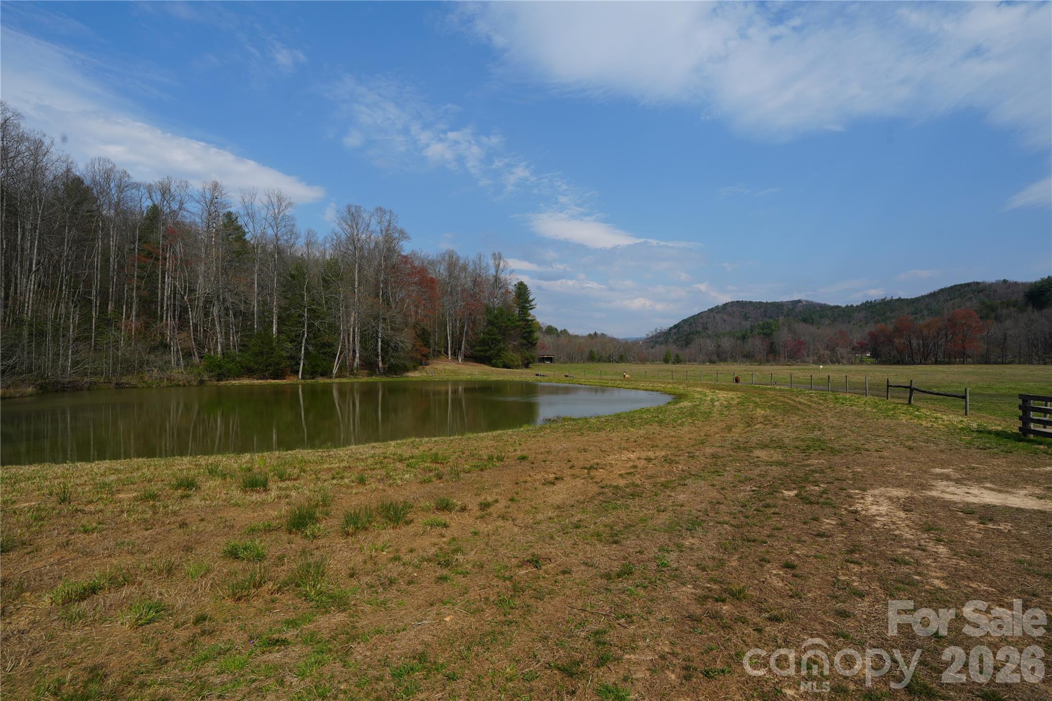 316 Lewis Fork Baptist Church Road Purlear NC 28665