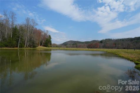 316 Lewis Fork Baptist Church Road Purlear NC 28665