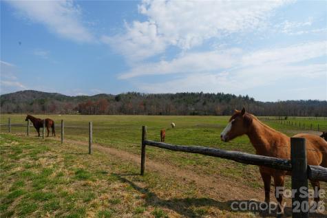 316 Lewis Fork Baptist Church Road Purlear NC 28665