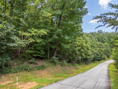 000 Deep Gap Farm Road E Mill Spring NC 28756