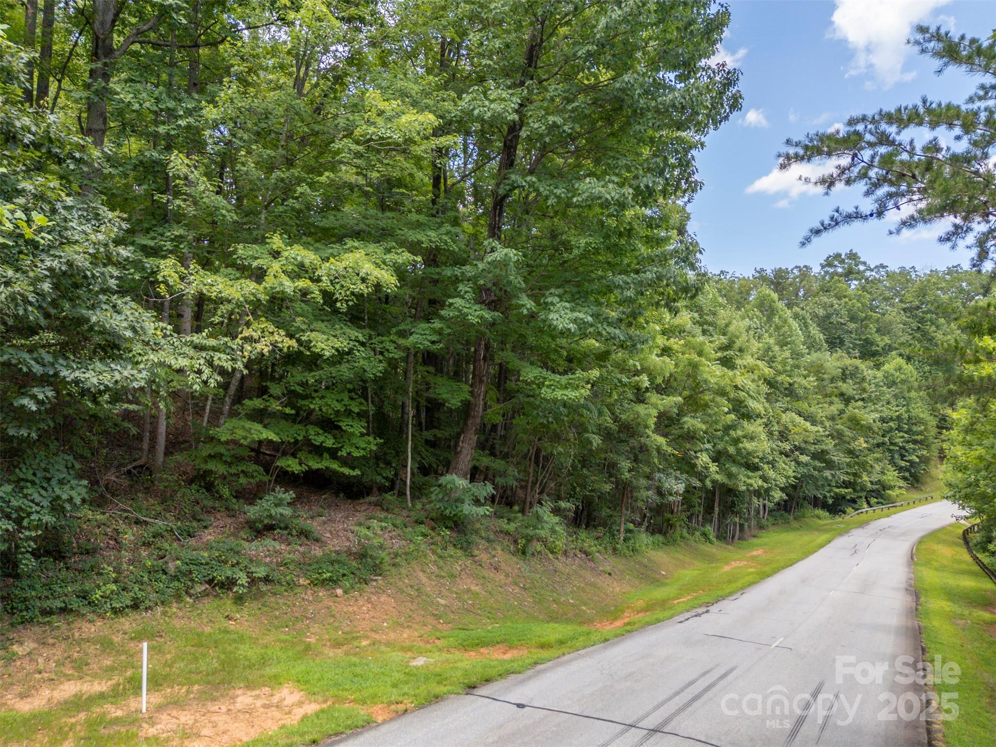 000 Deep Gap Farm Road E Mill Spring NC 28756