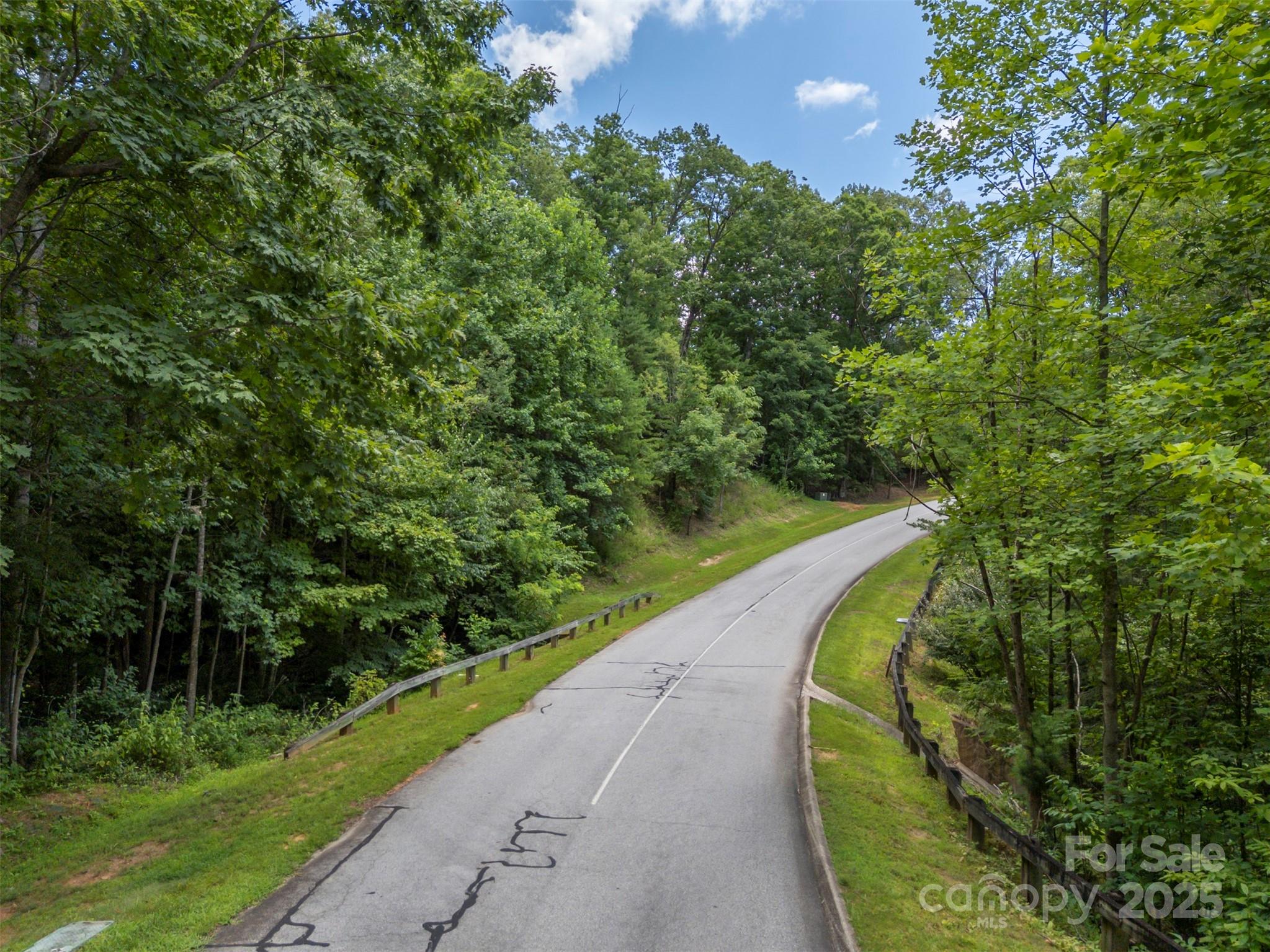 000 Deep Gap Farm Road E Mill Spring NC 28756