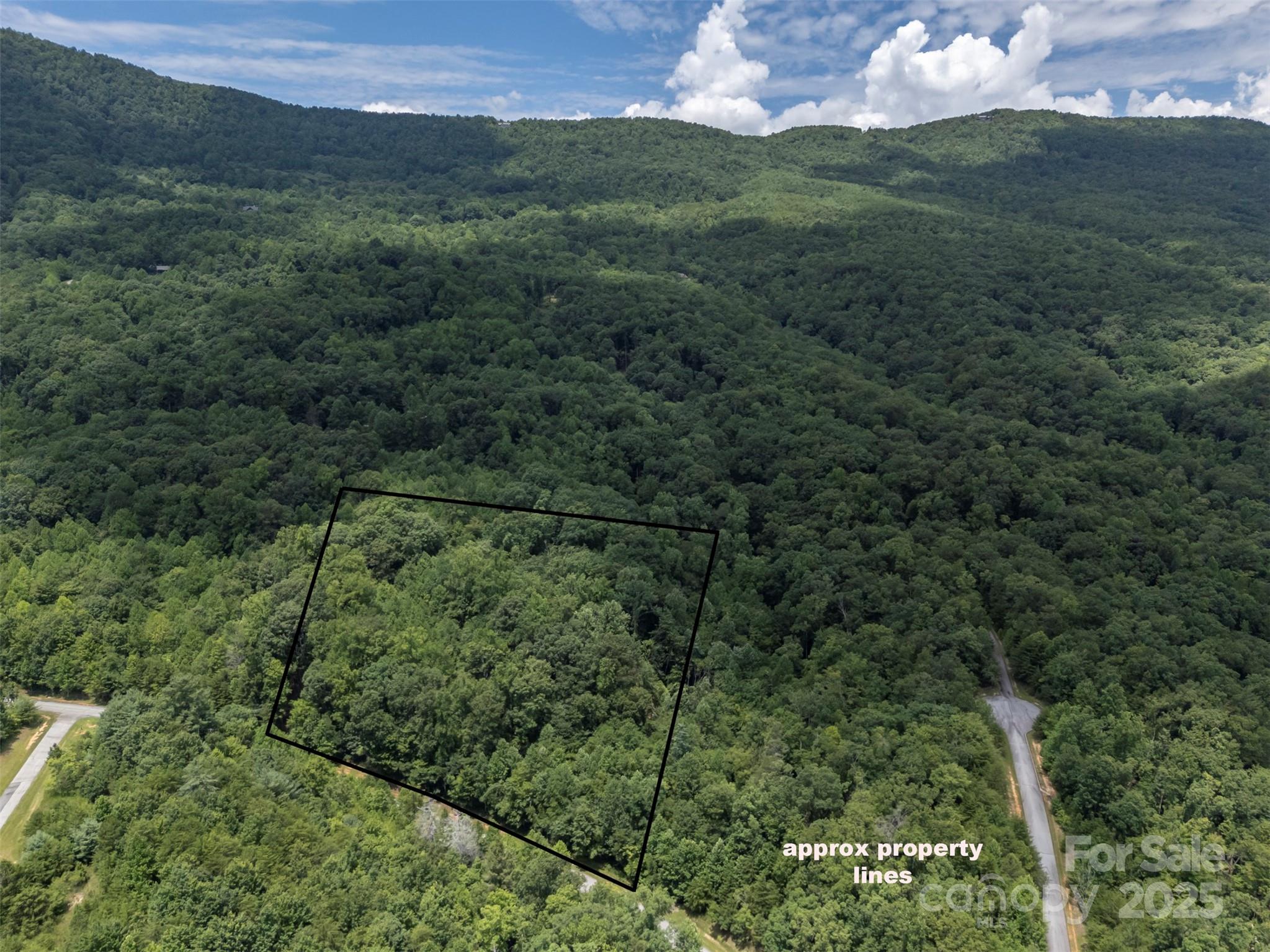 000 Deep Gap Farm Road E Mill Spring NC 28756