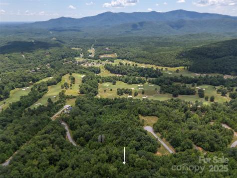 000 Deep Gap Farm Road E Mill Spring NC 28756