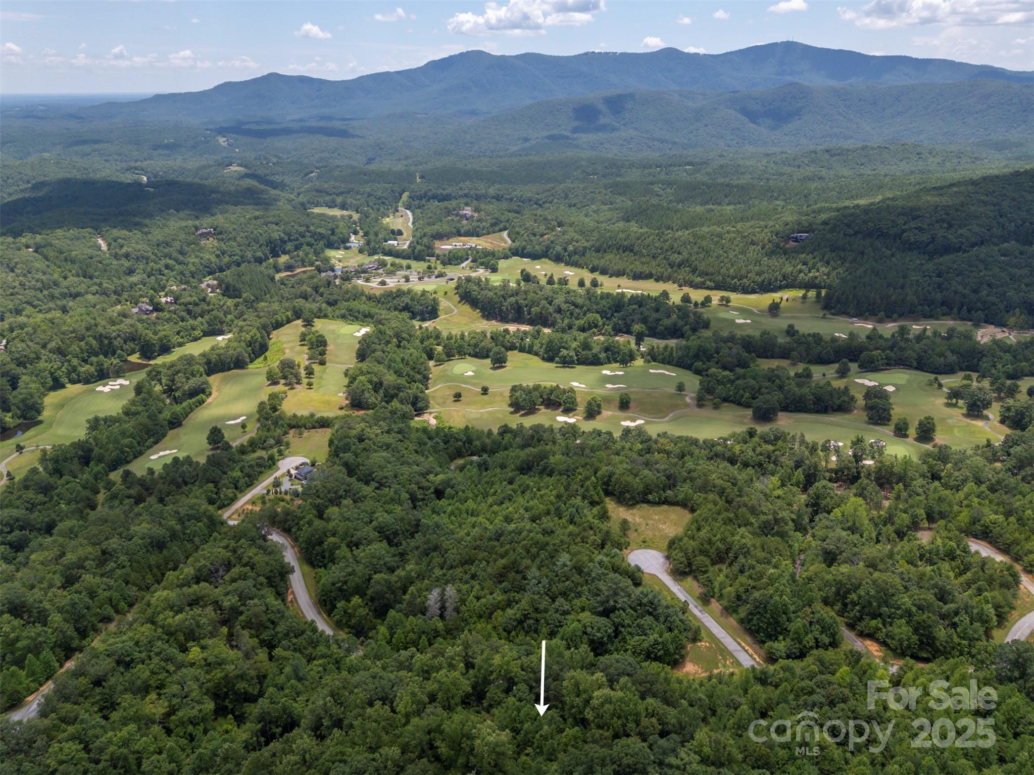 000 Deep Gap Farm Road E Mill Spring NC 28756