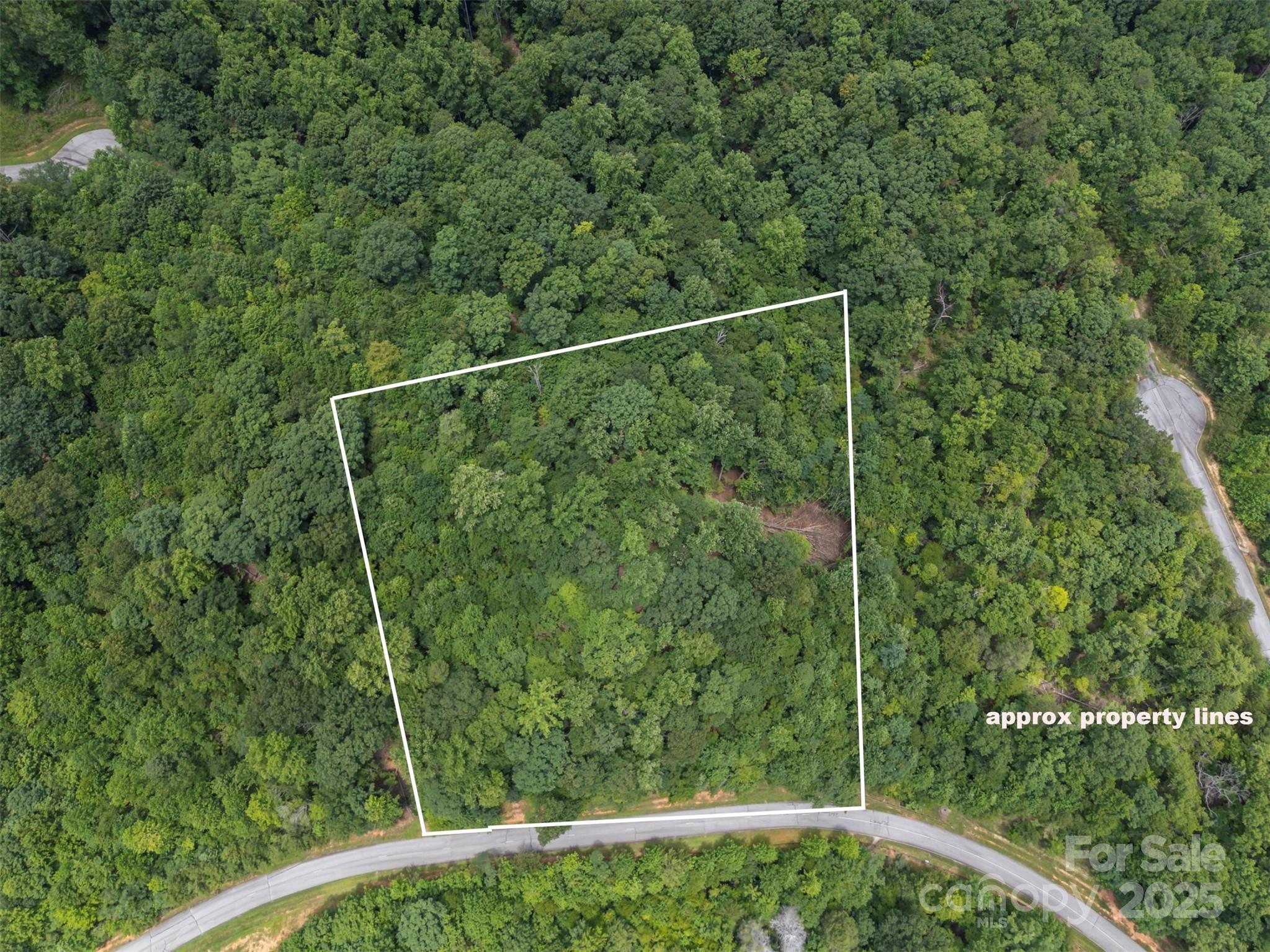 000 Deep Gap Farm Road E Mill Spring NC 28756