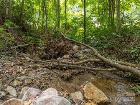 000 Deep Gap Farm Road E Mill Spring NC 28756