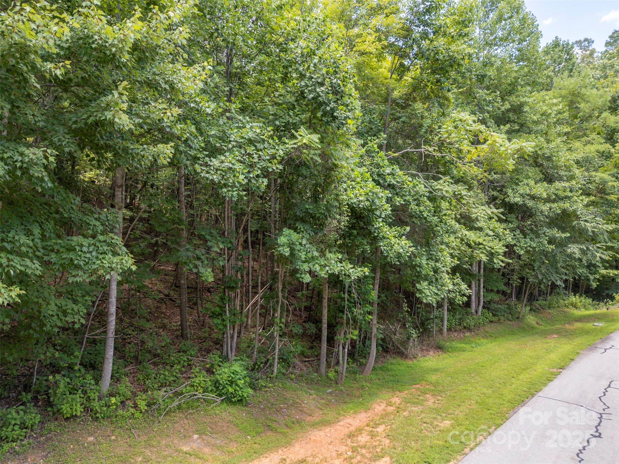 000 Deep Gap Farm Road E Mill Spring NC 28756