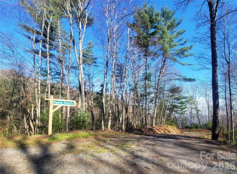 111 Digging Seng Trail Waynesville NC 28785