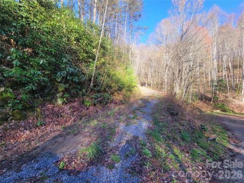 111 Digging Seng Trail Waynesville NC 28785