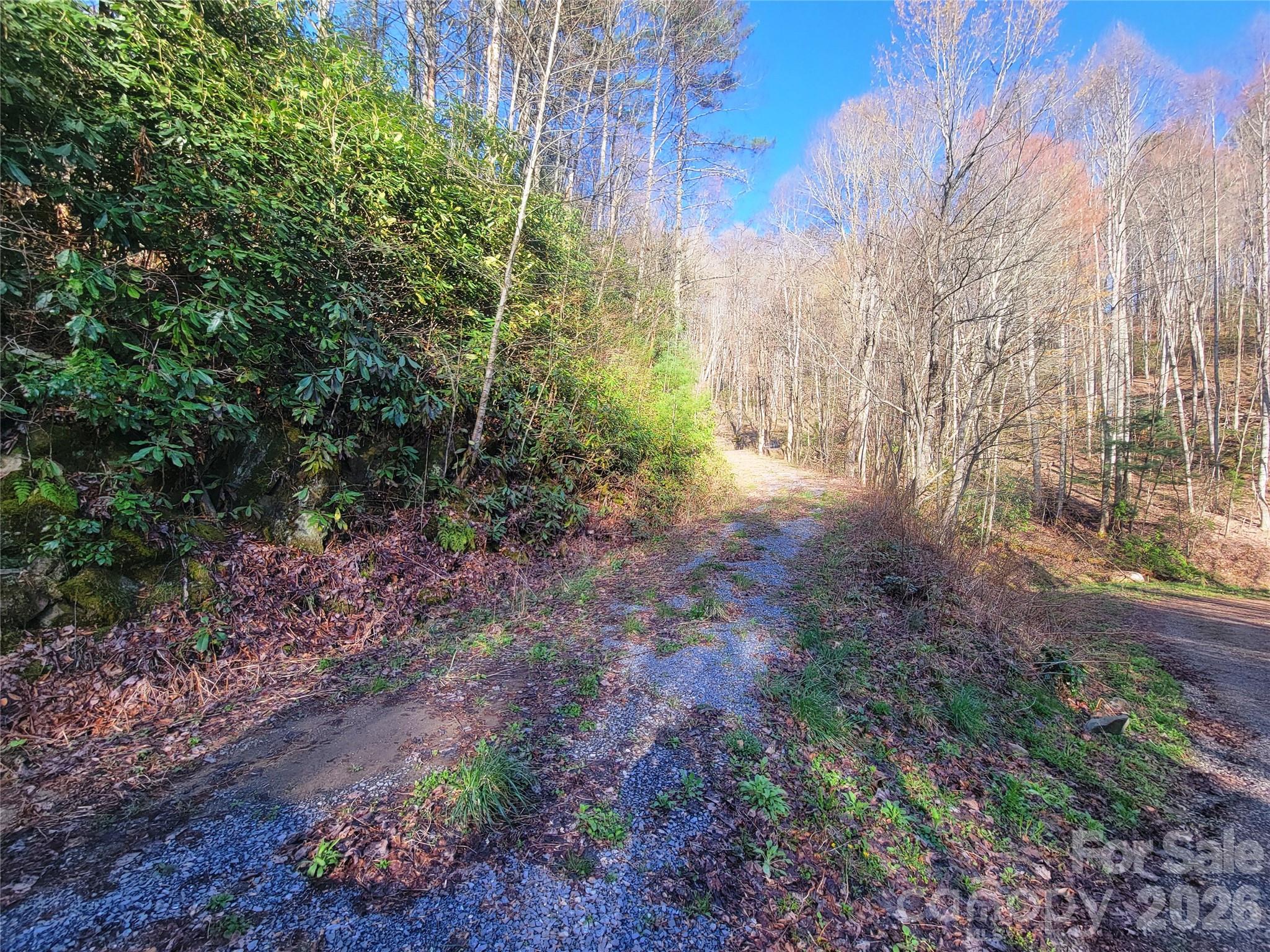 111 Digging Seng Trail Waynesville NC 28785