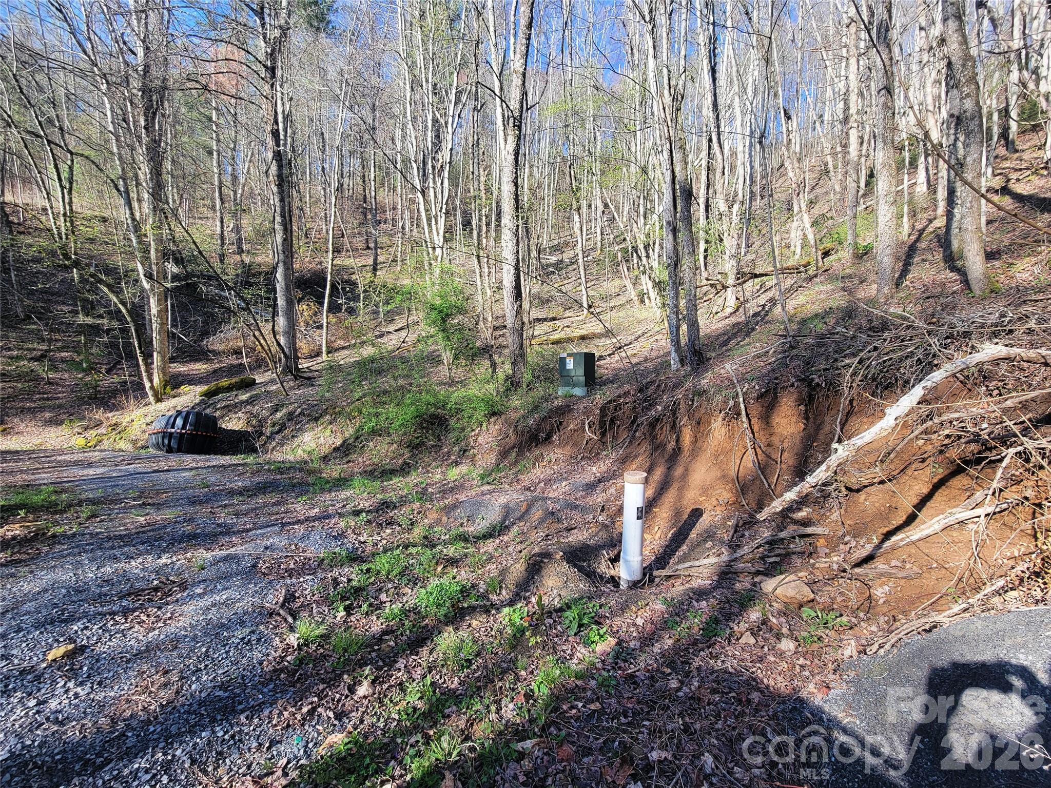 111 Digging Seng Trail Waynesville NC 28785