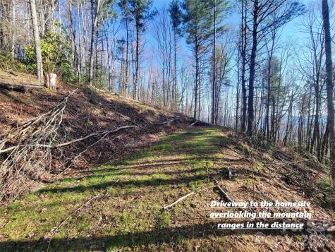 111 Digging Seng Trail Waynesville NC 28785