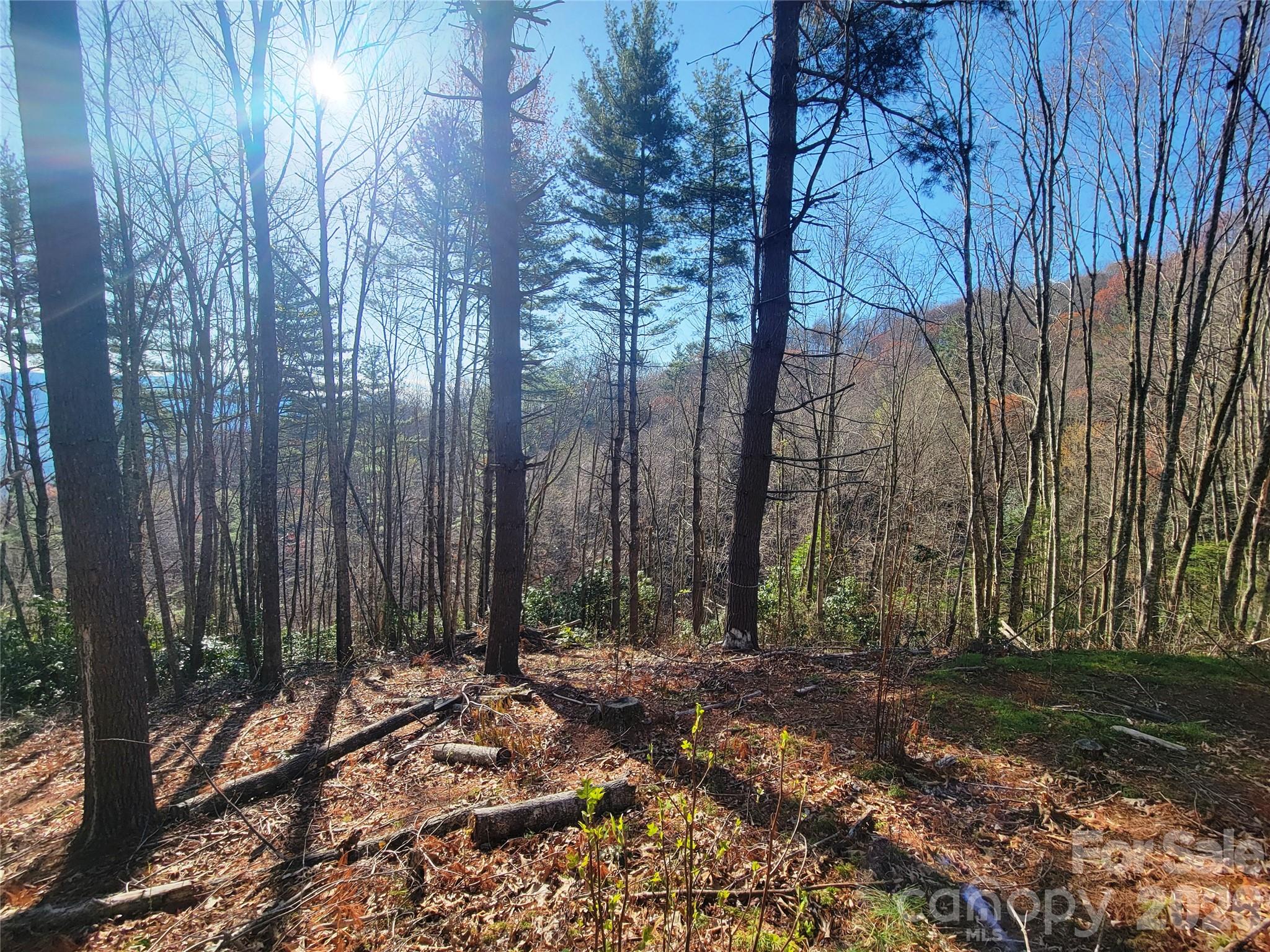 111 Digging Seng Trail Waynesville NC 28785