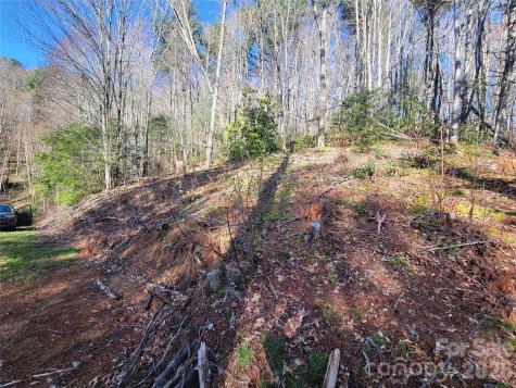 111 Digging Seng Trail Waynesville NC 28785