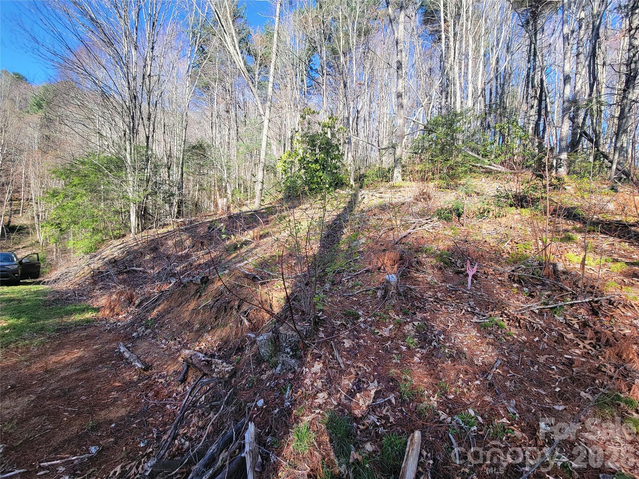 111 Digging Seng Trail Waynesville NC 28785