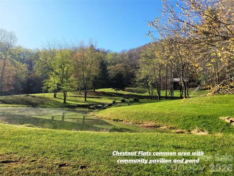 111 Digging Seng Trail Waynesville NC 28785