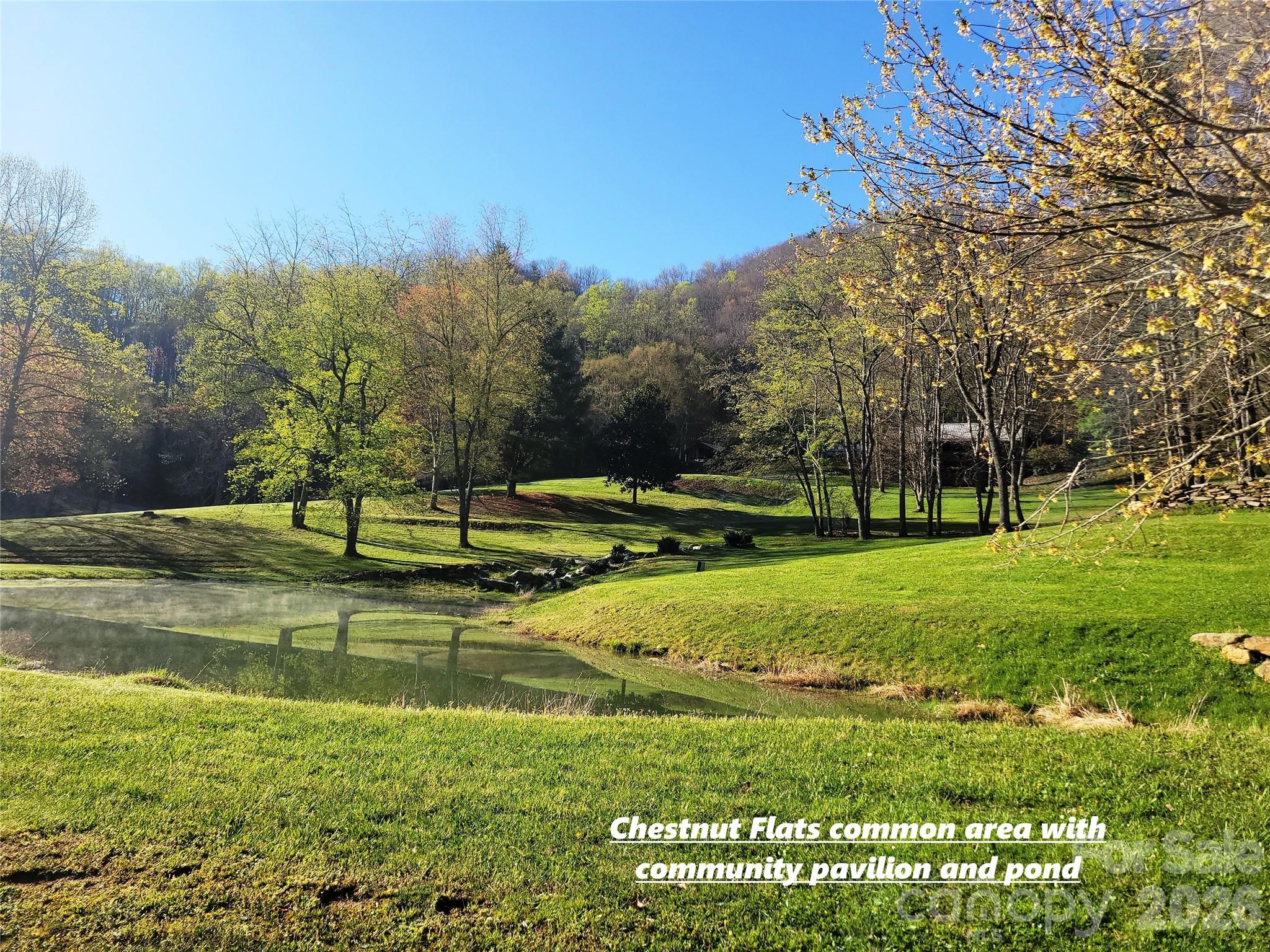 111 Digging Seng Trail Waynesville NC 28785