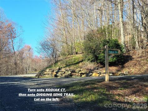 111 Digging Seng Trail Waynesville NC 28785