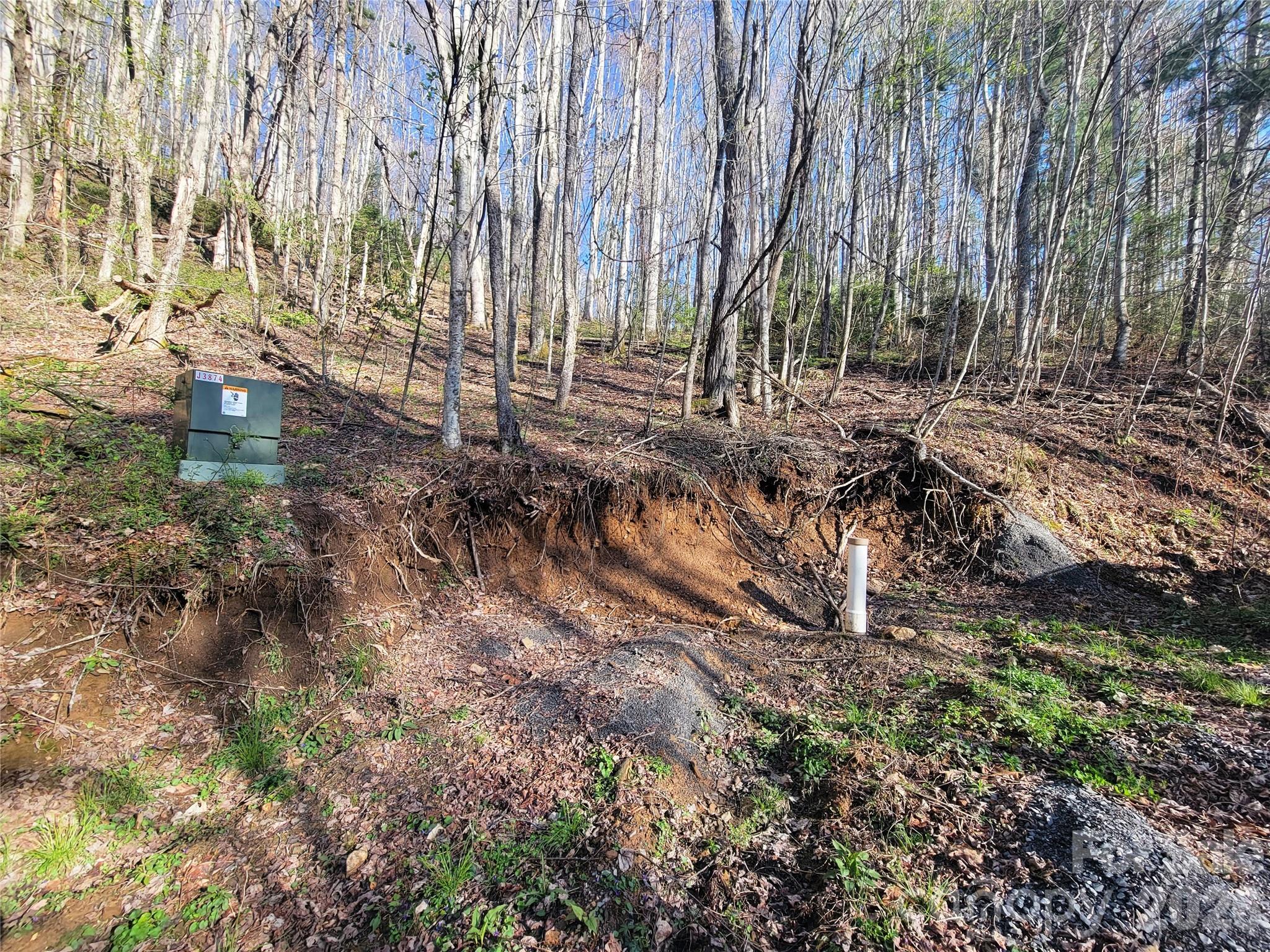 111 Digging Seng Trail Waynesville NC 28785