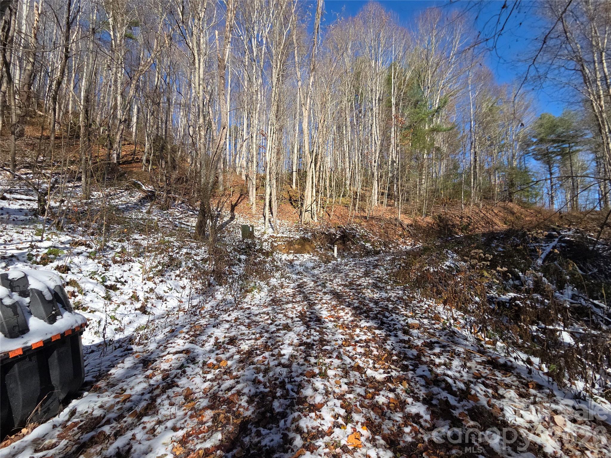 111 Digging Seng Trail Waynesville NC 28785