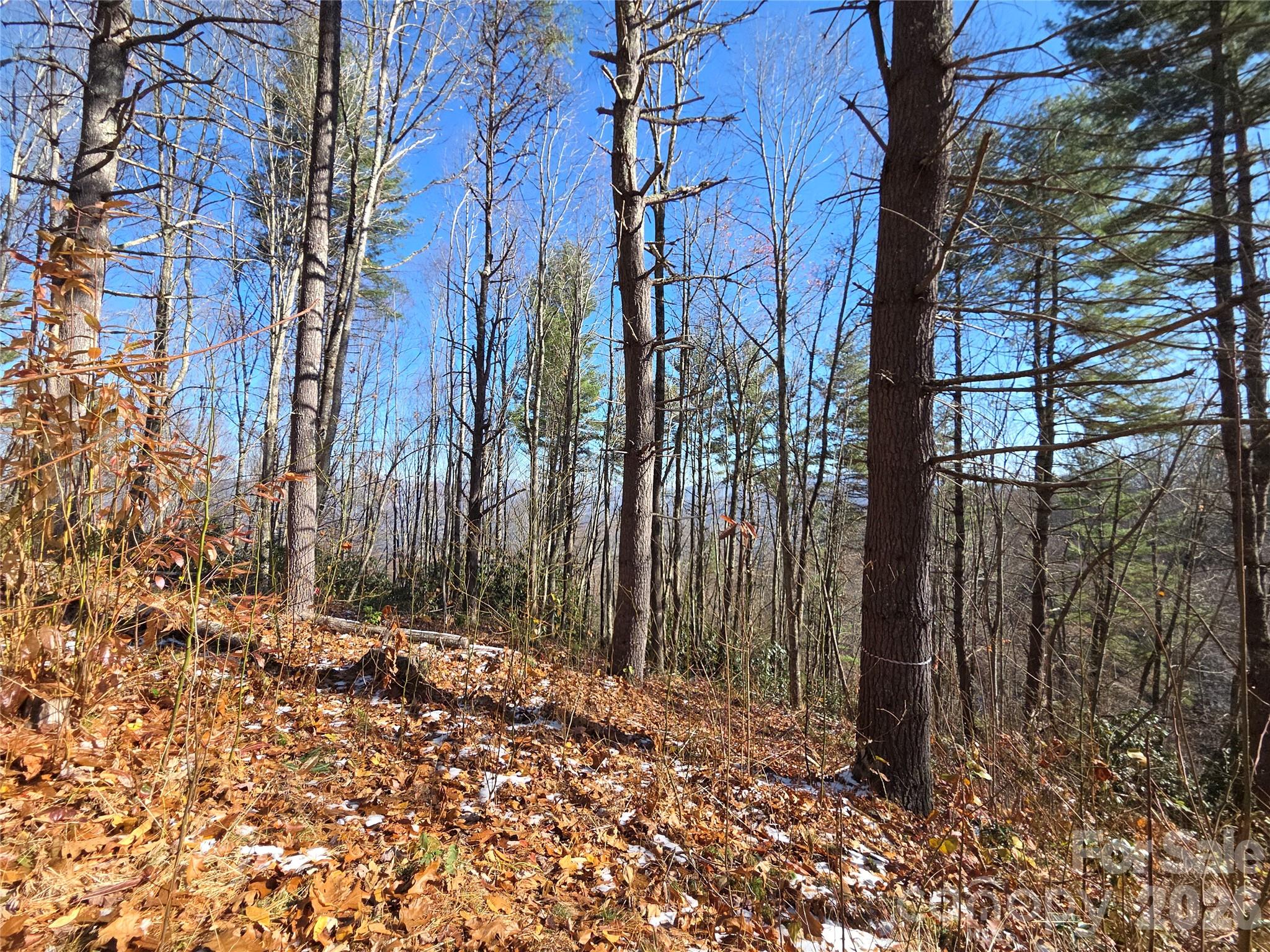 111 Digging Seng Trail Waynesville NC 28785