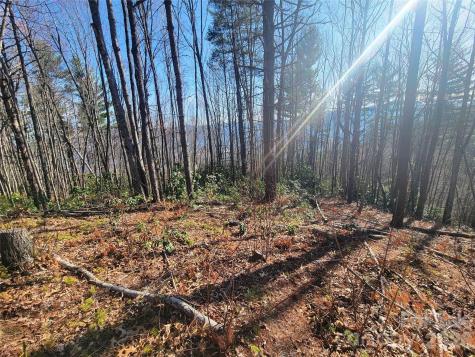 111 Digging Seng Trail Waynesville NC 28785