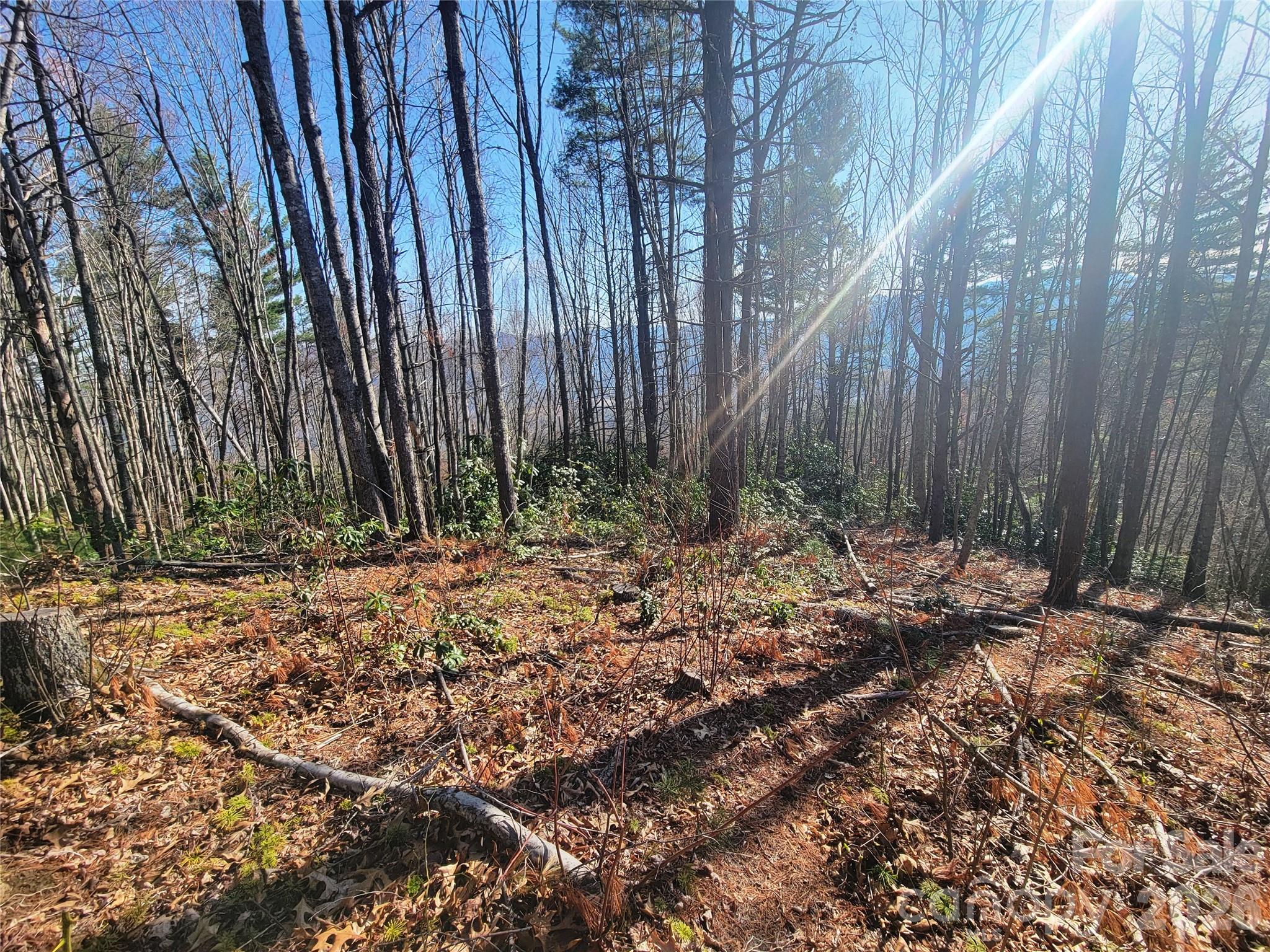 111 Digging Seng Trail Waynesville NC 28785