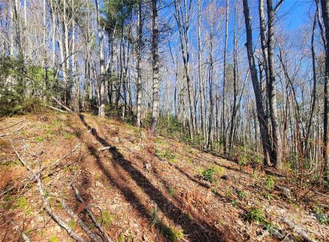 111 Digging Seng Trail Waynesville NC 28785