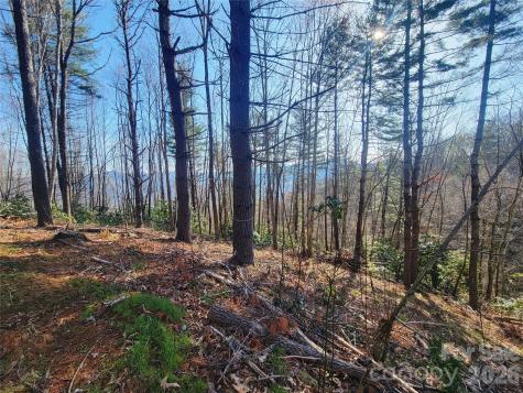 111 Digging Seng Trail Waynesville NC 28785