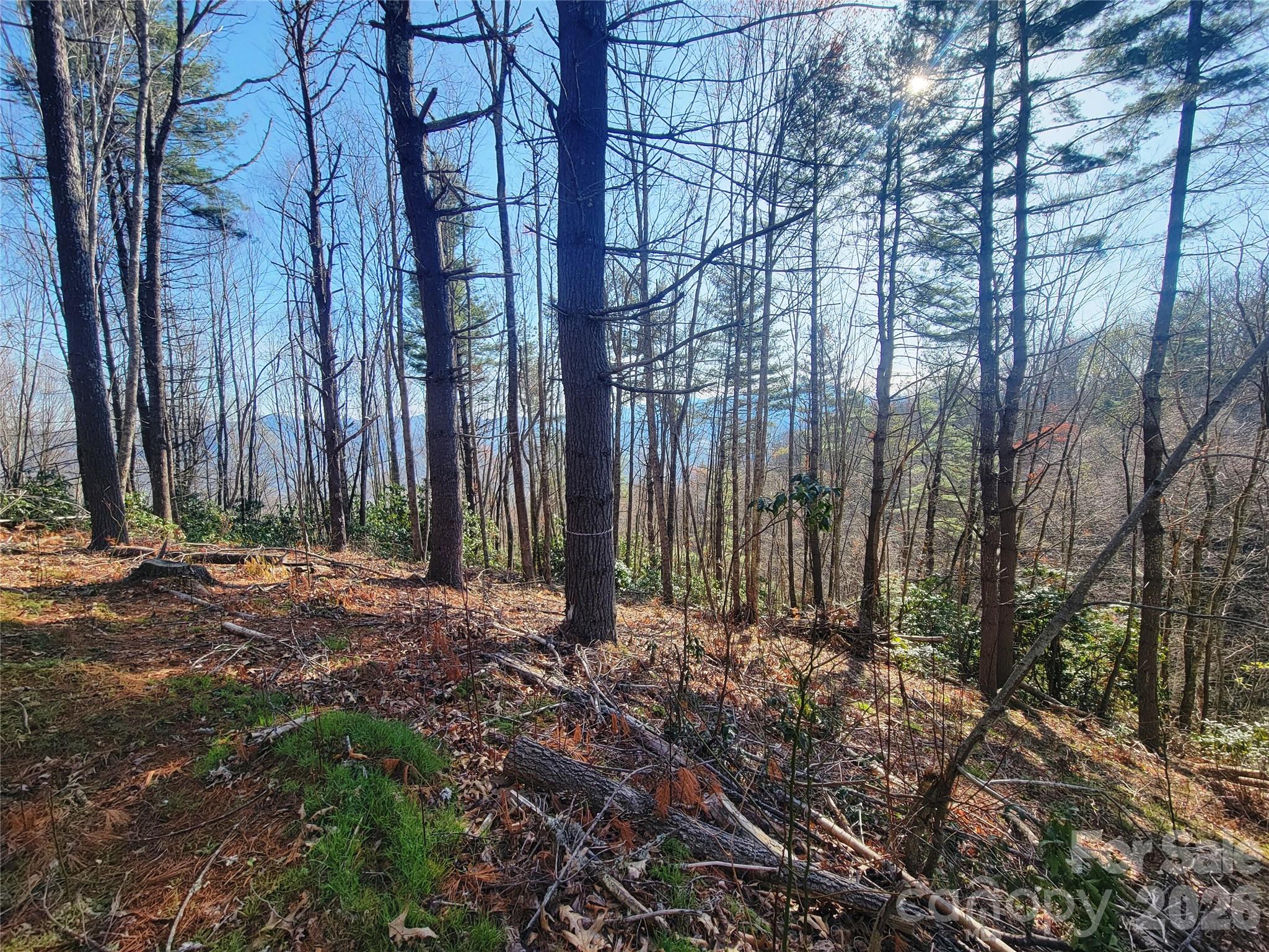111 Digging Seng Trail Waynesville NC 28785