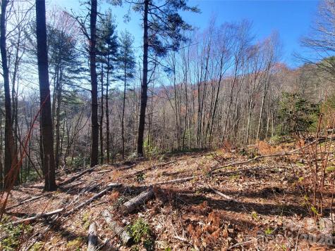 111 Digging Seng Trail Waynesville NC 28785
