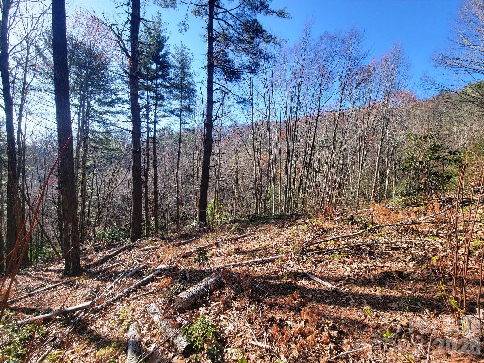 111 Digging Seng Trail Waynesville NC 28785