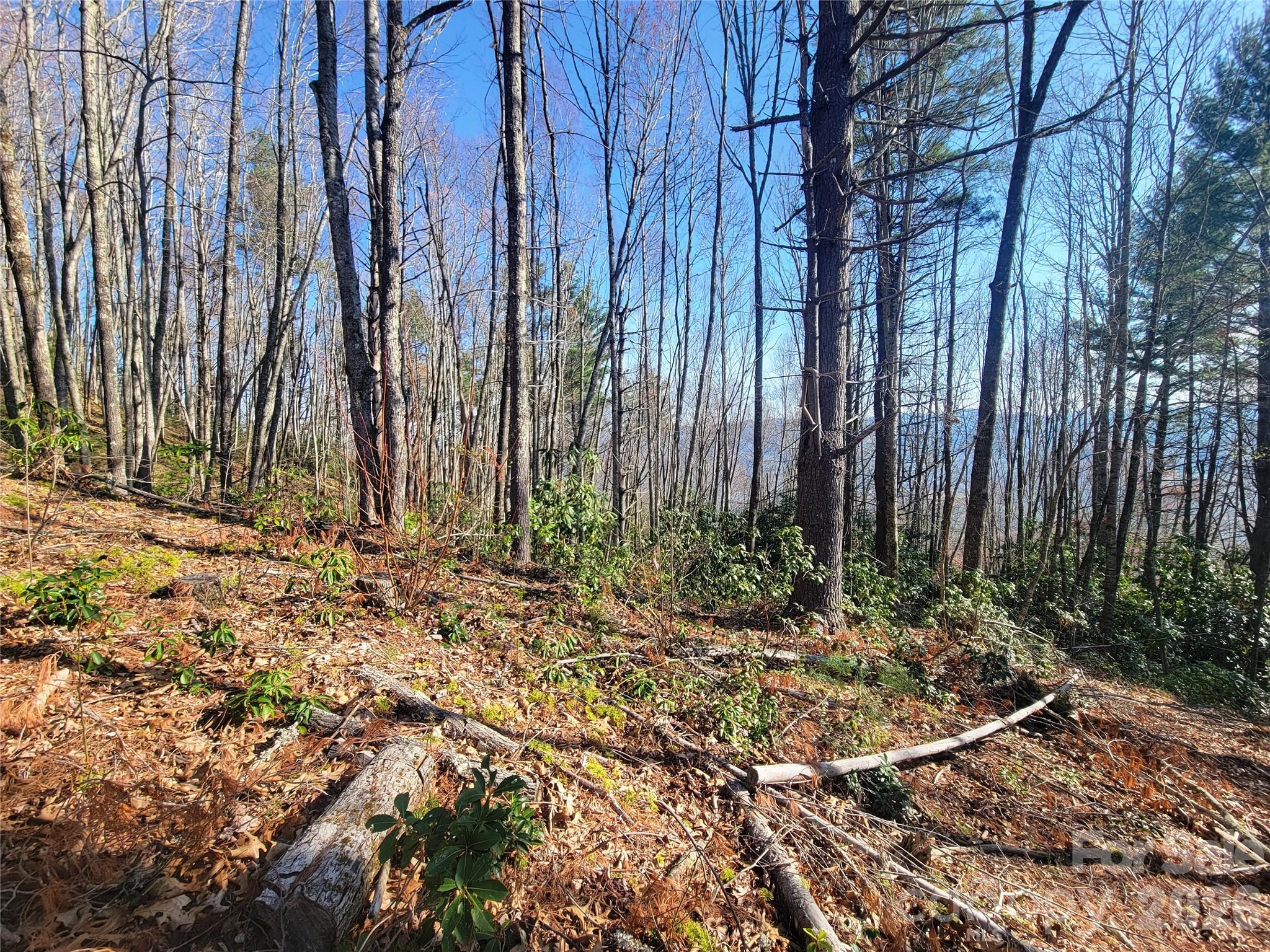 111 Digging Seng Trail Waynesville NC 28785
