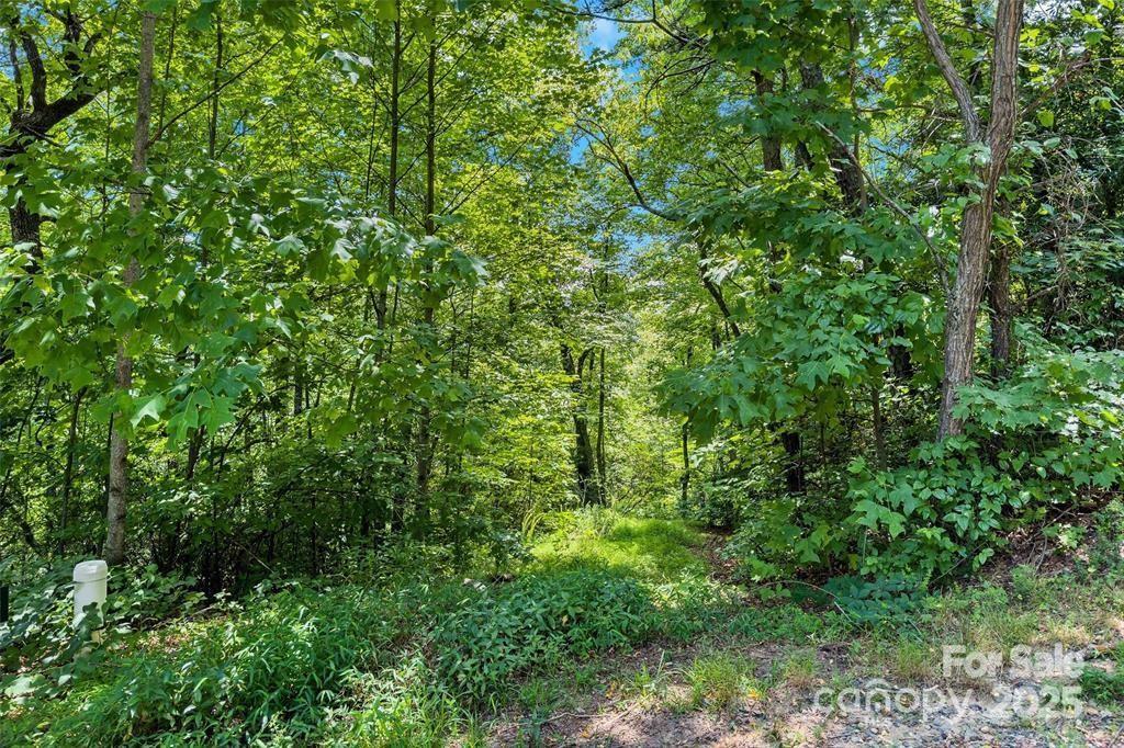 144 Galax Drive Black Mountain NC 28711