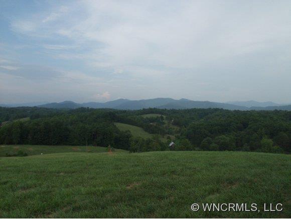 24 Ellie Jane Lane Weaverville NC 28787