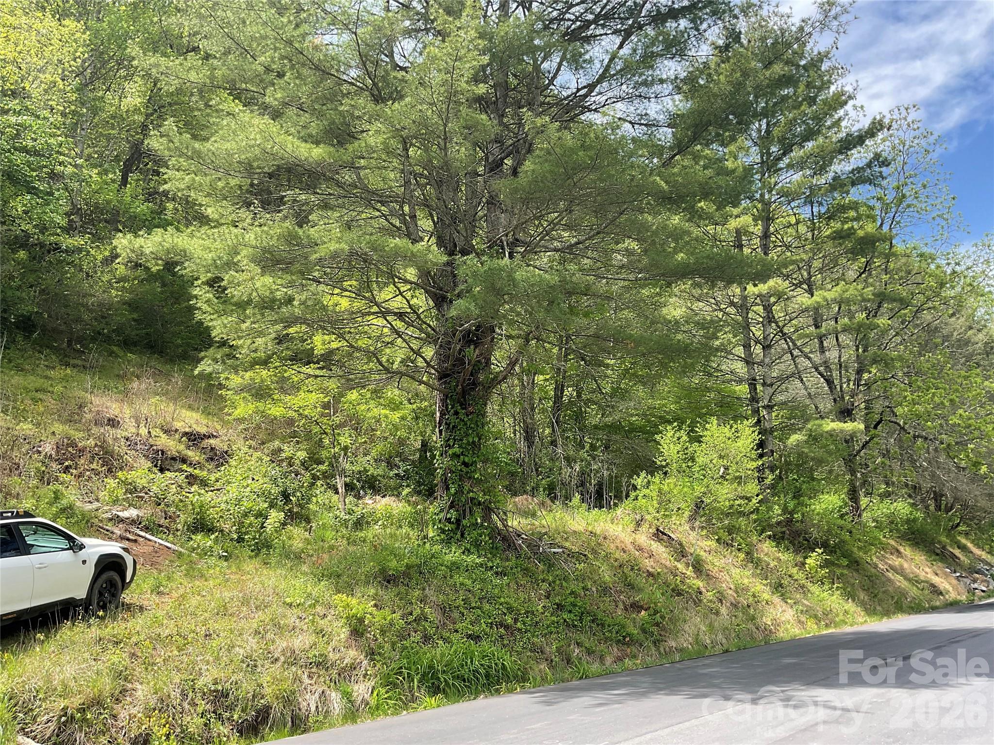 0000 Nc Highway 197 Highway Green Mountain NC 28740