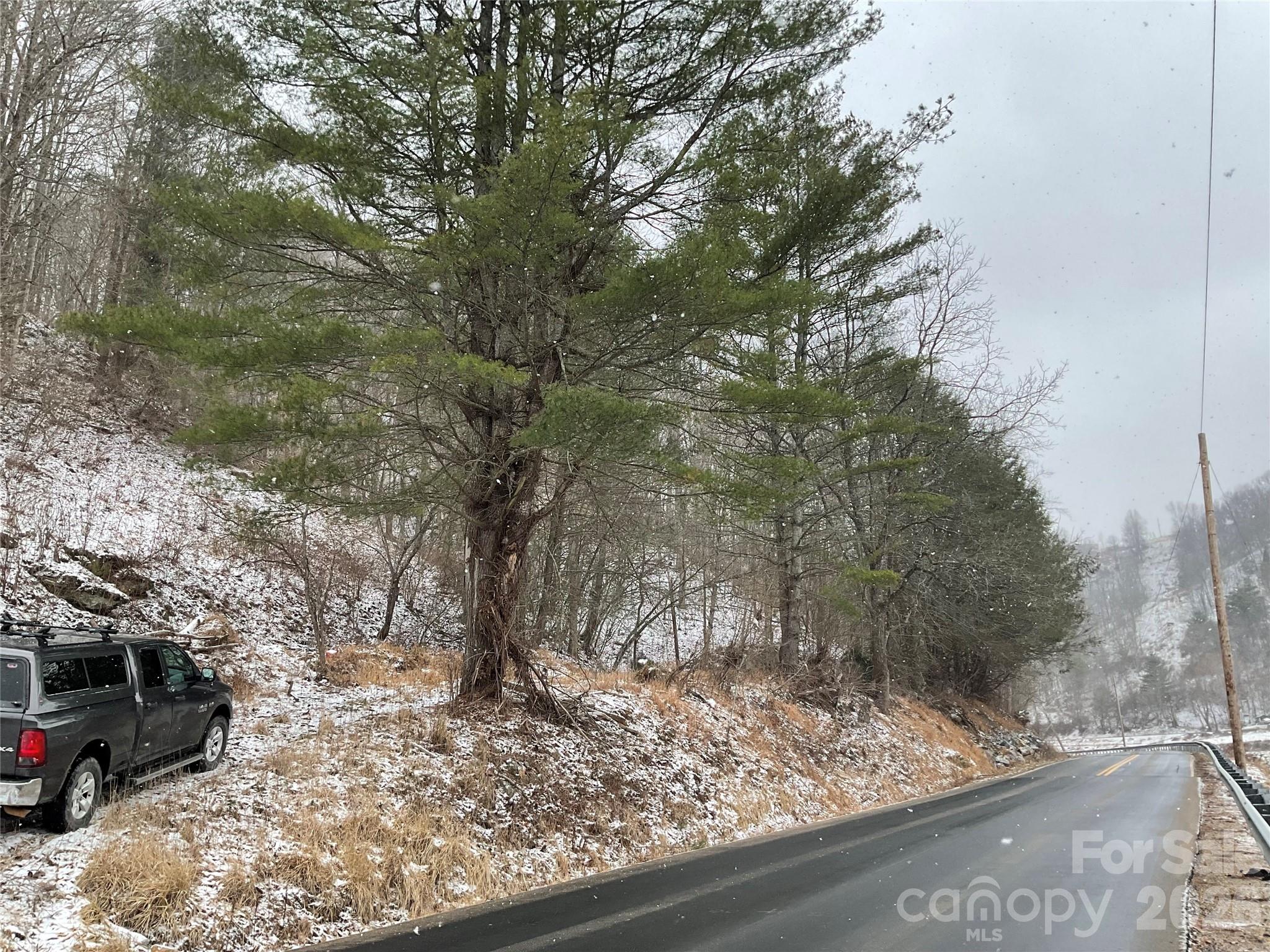0000 Nc Highway 197 Highway Green Mountain NC 28740