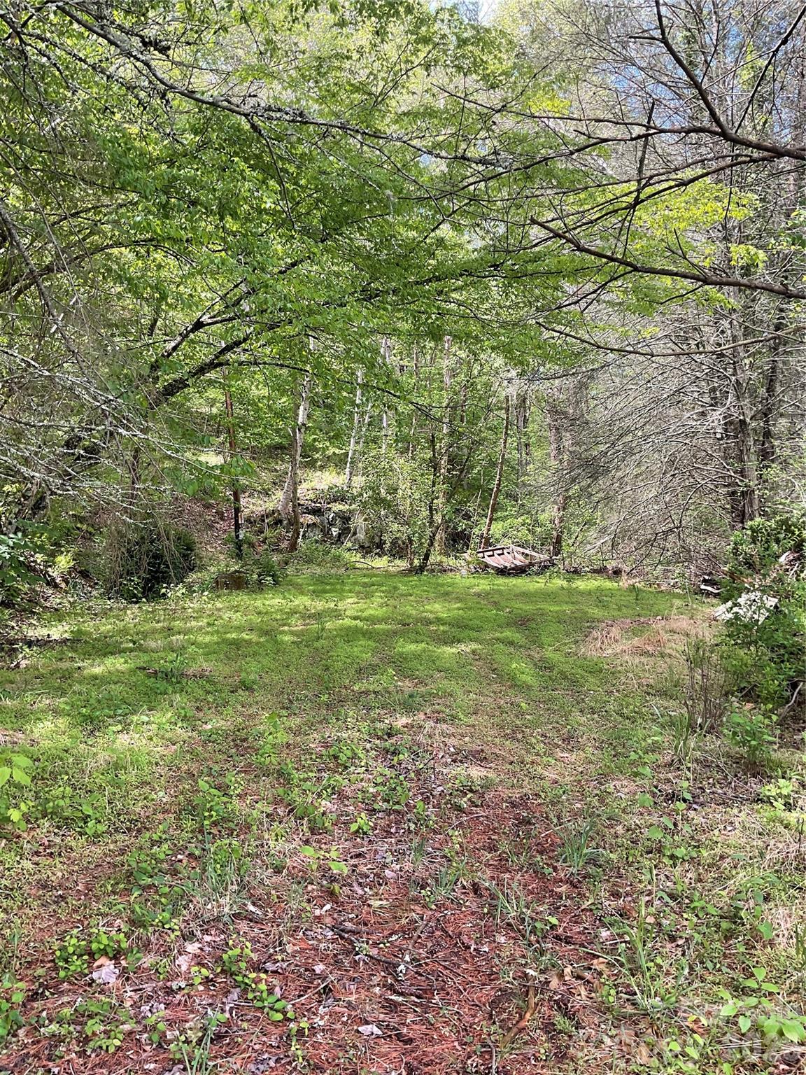0000 Nc Highway 197 Highway Green Mountain NC 28740