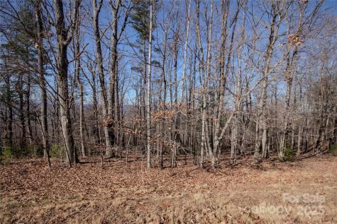 2212 Nighthawk Ridge Court Lenoir NC 28645