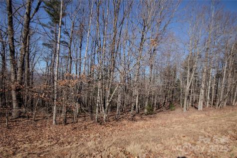 2212 Nighthawk Ridge Court Lenoir NC 28645