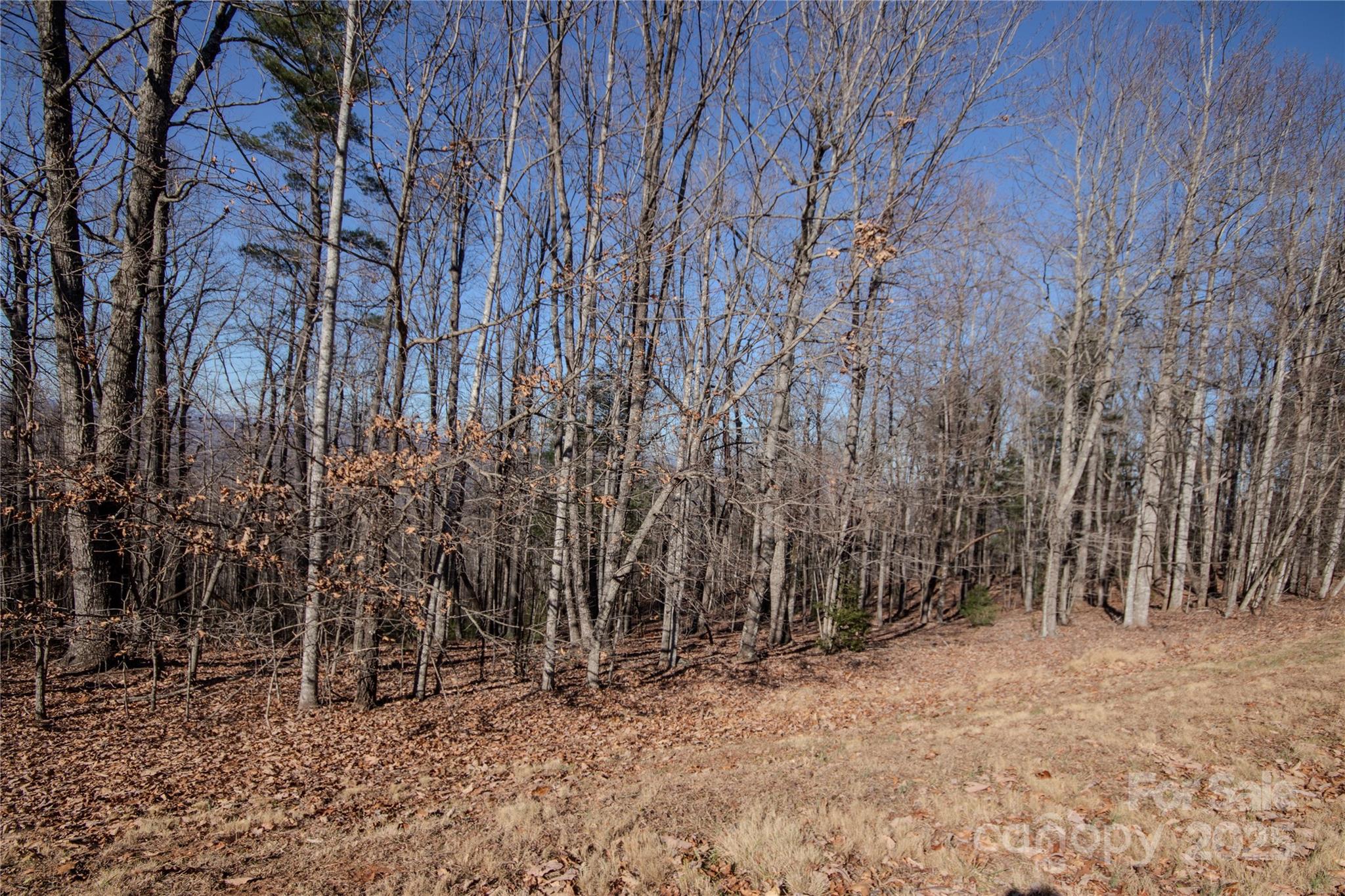 2212 Nighthawk Ridge Court Lenoir NC 28645