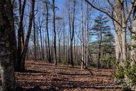 2212 Nighthawk Ridge Court Lenoir NC 28645