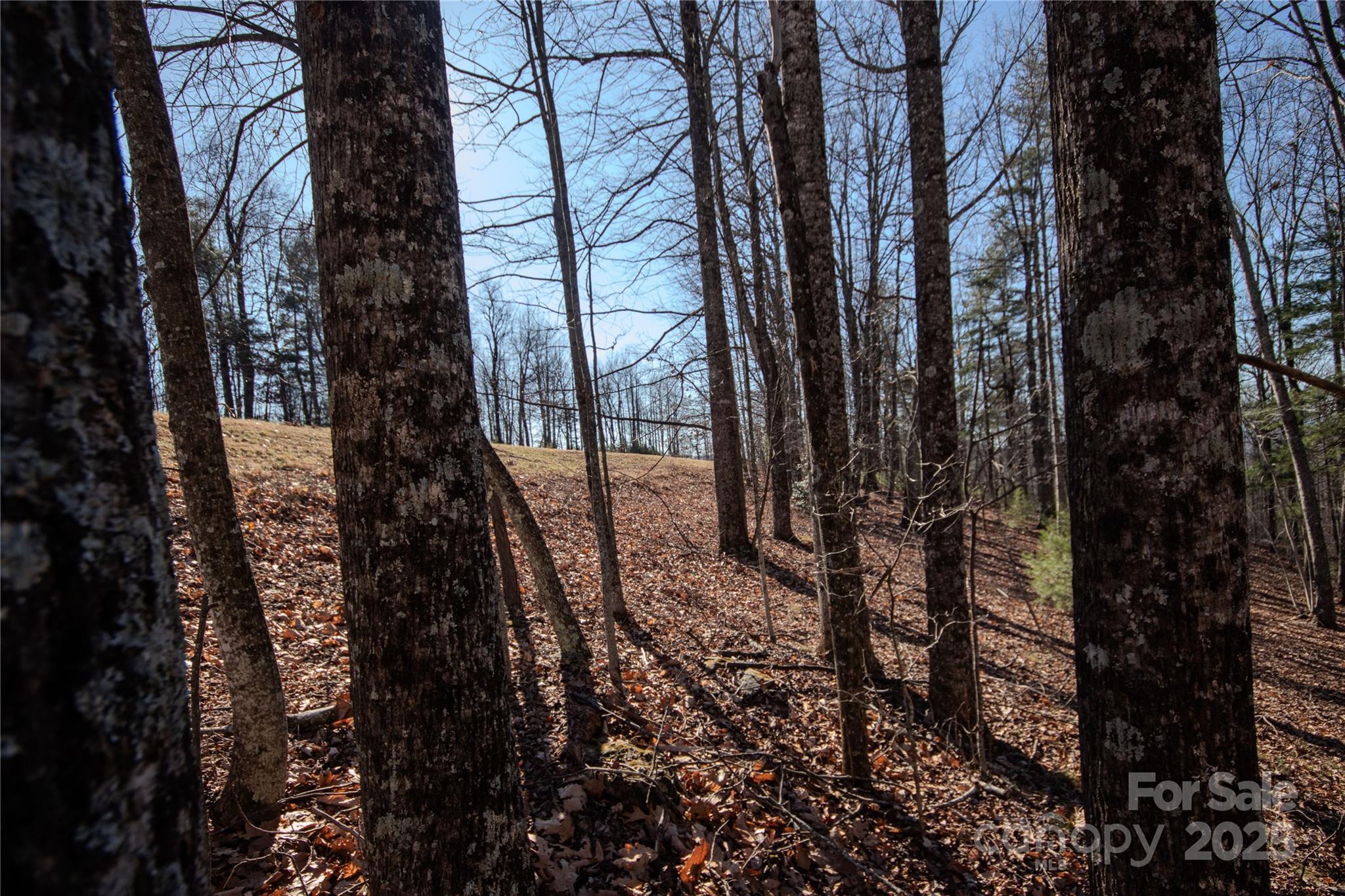 2212 Nighthawk Ridge Court Lenoir NC 28645