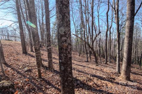 2212 Nighthawk Ridge Court Lenoir NC 28645