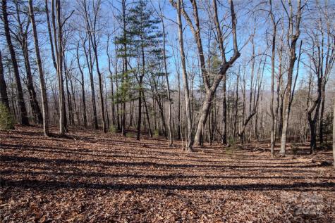 2212 Nighthawk Ridge Court Lenoir NC 28645