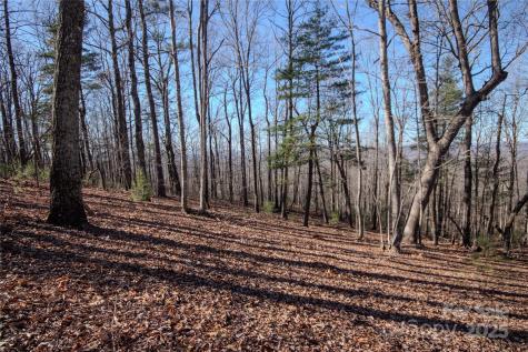 2212 Nighthawk Ridge Court Lenoir NC 28645