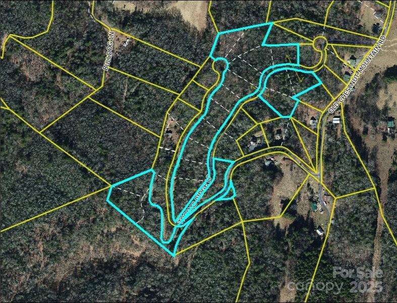 0000 Thomas Ridge Loop Green Mountain NC 28740