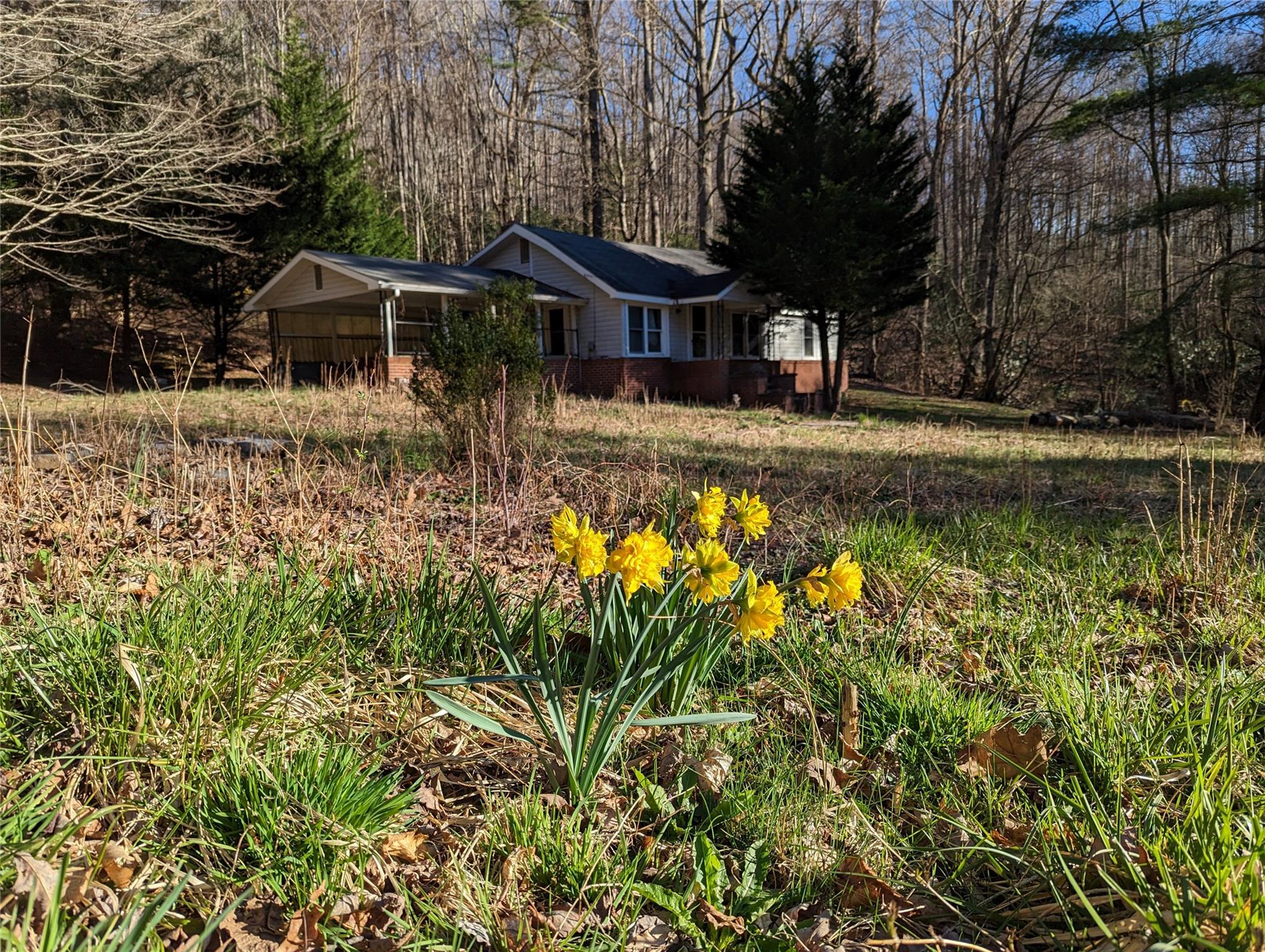 543/560 Clear Creek Road Burnsville NC 28714