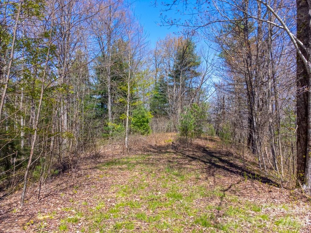 Lot 32 Fontana Trace Almond NC 28702